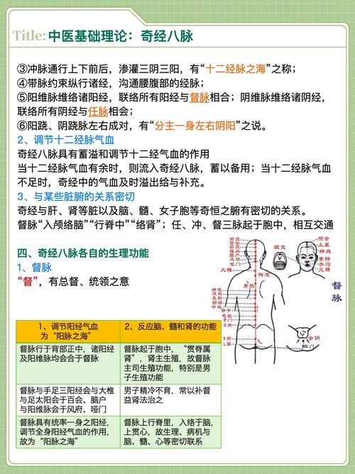 奇经八脉模拟器最新图标