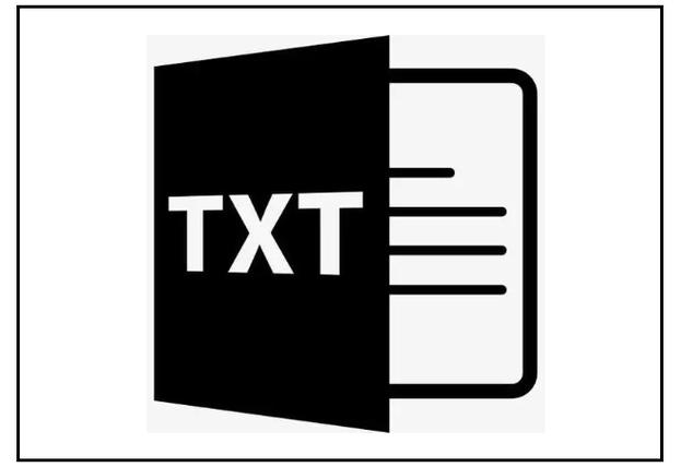 电子书TXT格式