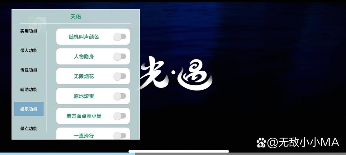 光遇直装辅助游戏截图