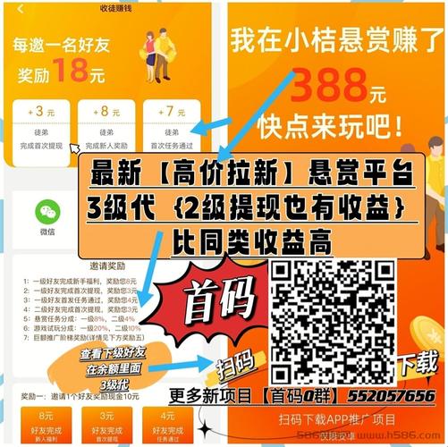 小桔悬赏赚钱版v1.0