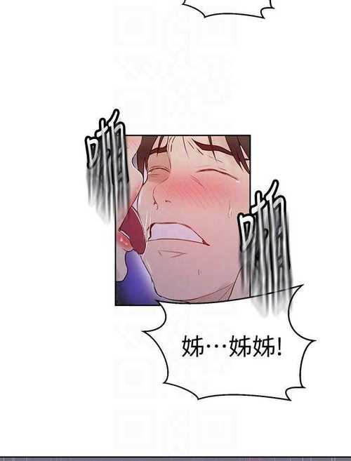 秘密教学漫画