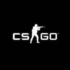 csgo反恐精英全球攻势单机版