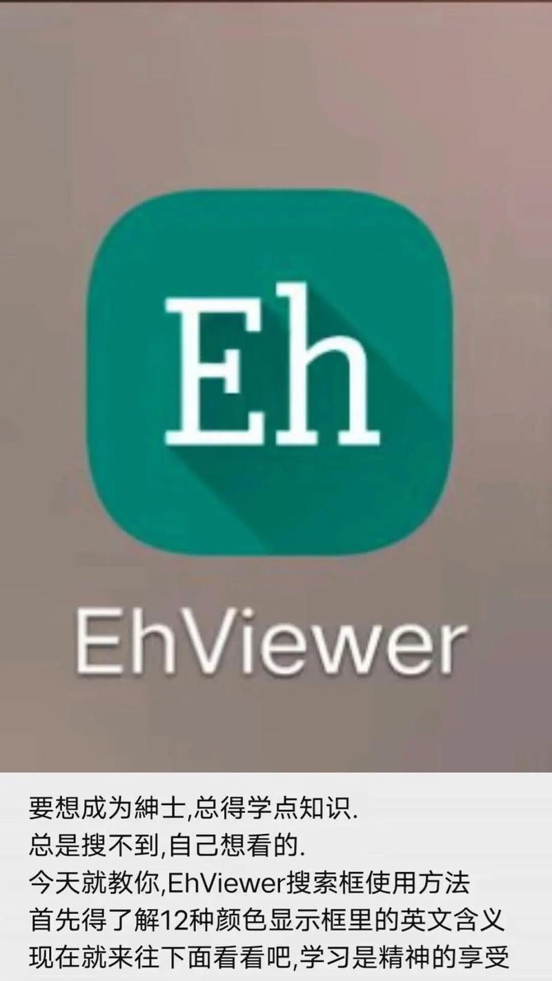 E站EHVIEWER彩色版
