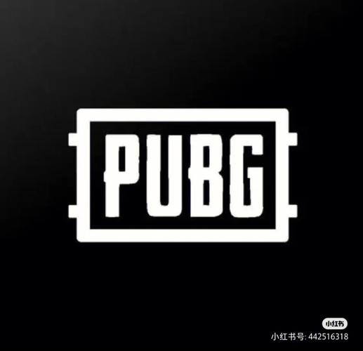 呆呆直装pubg