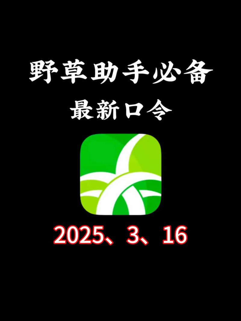 野草助手电视版口令黑色老版图标