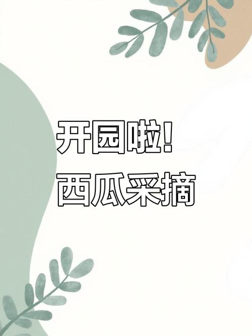 西瓜庄园最新版详解图标