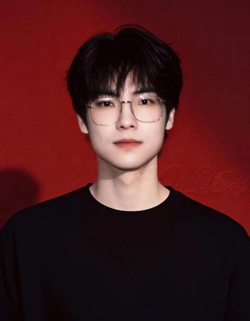 郭家毅gemini个人资料图标