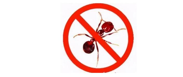 火蚁矿业安卓版图标