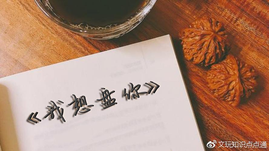 我想盘你是什么意思