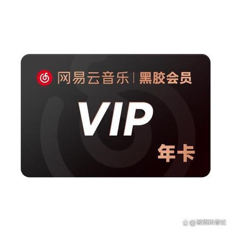 qq年svip能干嘛