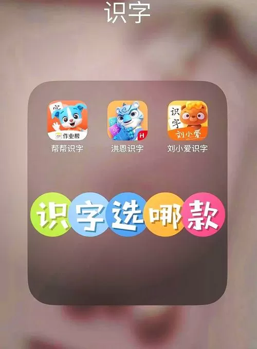 国家免费识字永久版缩略图