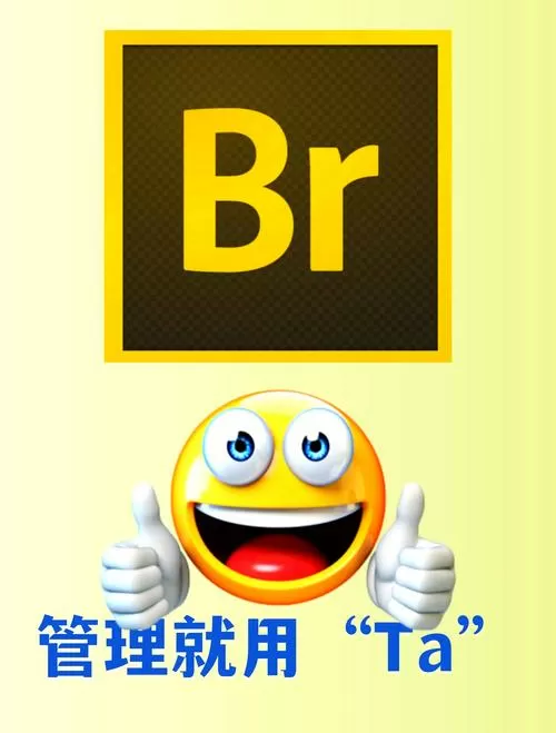 bridege软件有什么用