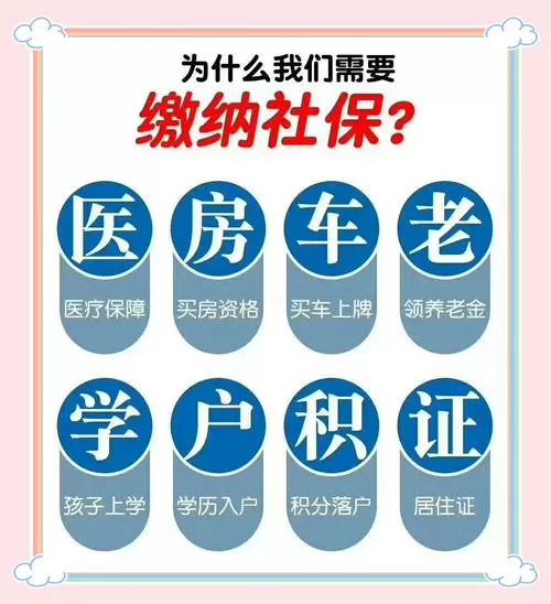 社保代缴游戏截图