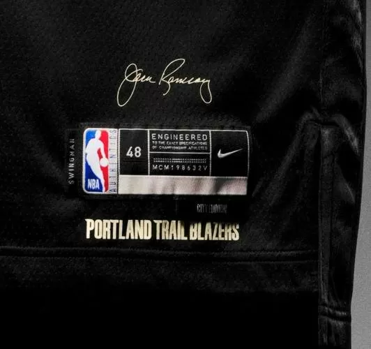 开拓者星衣服描写图标