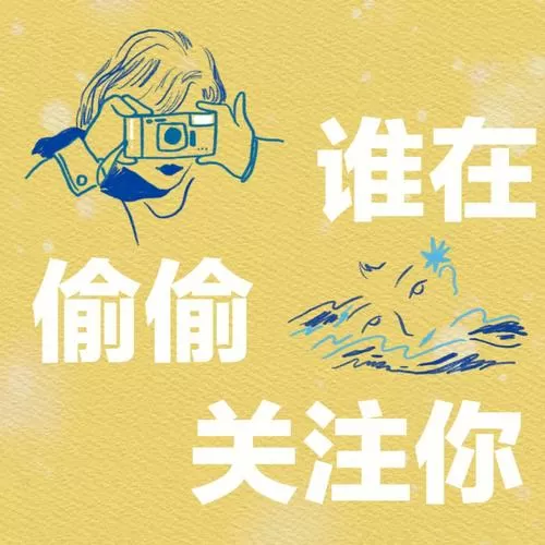 怎么知道对方偷偷关注你游戏截图